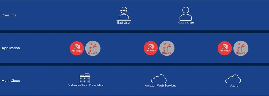 How Avi Networks is Changing Web Application Security - VMware Load  Balancing & WAF Blog