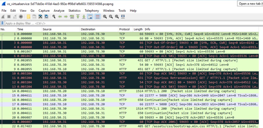 Traffic Capture Analysis